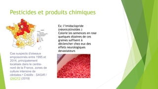 Pesticides et produits chimiques
Cas suspects d'oiseaux
empoisonnés entre 1995 et
2014, principalement
localisés dans le centre-
nord de la France, zones de
culture intensive de
céréales.• Crédits : SAGIR /
ONCFS (2019)
Ex: l’imidaclopride
(néonicotinoïdes )
Colorie les semences en rose
quelques dizaines de ces
graines suffisent à
déclencher chez eux des
effets neurologiques
devastateurs
 