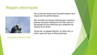 Risques electriques
Installation avifaune en Isère
Peu ou pas de risques pour les petits oiseaux mais
rsique pour les grands oiseaux.
Afin de limiter les risques d’électrocution, plusieurs
pylônes des lignes électriques à 63 000 volts ont
été équipés de pics avifaunes pour empêcher les
oiseaux de s’y poser.
Concernés: la cigogne blanche, le milan noir, le
milan royal ainsi que le hibou grand-duc
 
