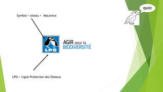 LPO =
Symbol = oiseau =
QUIZZ
Macareux
Ligue Protection des Oiseaux
 