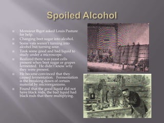    Monsieur Bigot asked Louis Pasture
    for help.
   Changing beet sugar into alcohol.
   Some vats weren’t turning into
    alcohol but turning sour.
   Took some good and bad liquid to
    study under a microscope.
   Realized there was yeast cells
    present when beet sugar or grapes
    fermented. He didn’t know why
    they were present.
   He became convinced that they
    caused fermentation. Fermentation
    is the breaking down of certain
    material by microorganisms.
   Found that the good liquid did not
    have black rods, the bad liquid had
    black rods that there multiplying.
 
