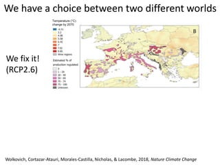 The past, present, and future of climate change and wine | PPTX