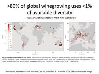 The past, present, and future of climate change and wine | PPTX