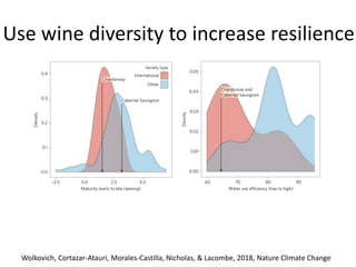 The past, present, and future of climate change and wine | PPTX