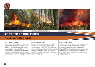 Assisting Firefighters In The Fight Against Bush Fires | PDF