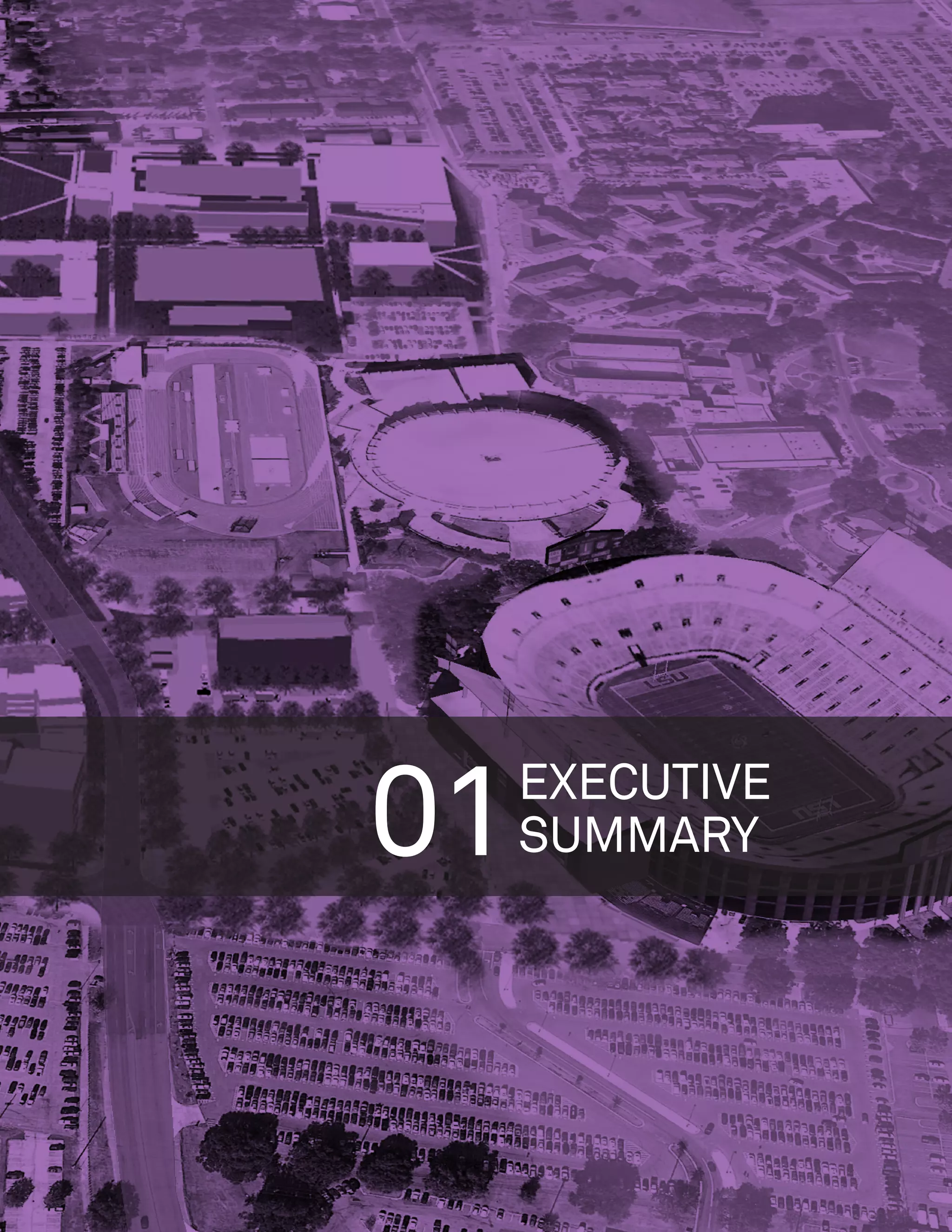 01   EXECUTIVE
     SUMMARY
 