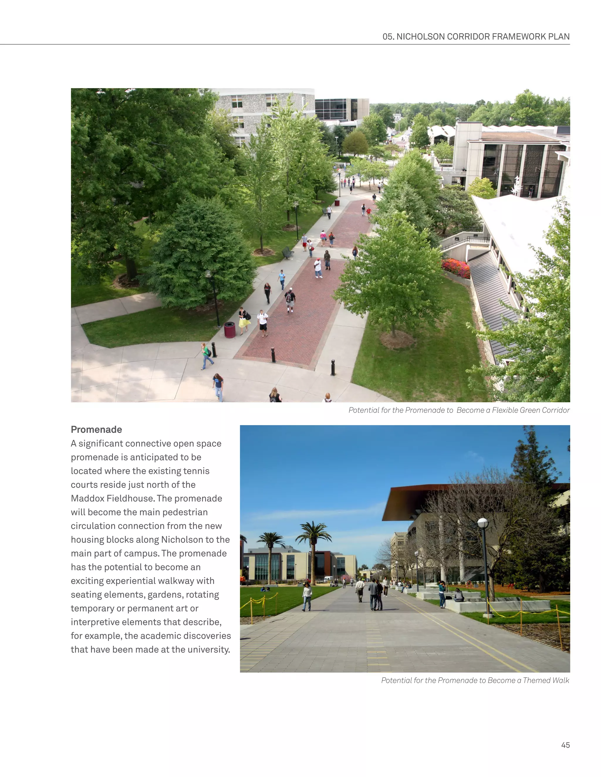 05. NICHOLSON CORRIDOR FRAMEWORK PLAN




                                         Potential for the Promenade to Become a Flexible Green Corridor

Promenade
A significant connective open space
promenade is anticipated to be
located where the existing tennis
courts reside just north of the
Maddox Fieldhouse. The promenade
will become the main pedestrian
circulation connection from the new
housing blocks along Nicholson to the
main part of campus. The promenade
has the potential to become an
exciting experiential walkway with
seating elements, gardens, rotating
temporary or permanent art or
interpretive elements that describe,
for example, the academic discoveries
that have been made at the university.


                                                  Potential for the Promenade to Become a Themed Walk




                                                                                                     45
 