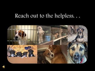 Reach out to the helpless. . .
 