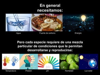 En general
necesitamos:
Pero cada especie requiere de una mezcla
particular de condiciones que le permitan
desarrollarse y reproducirse:
Luz solar
Agua Energía
Fuente de carbono
Temperatura Presión pH Humedad
 