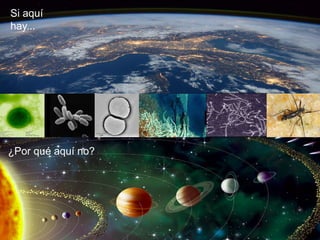 Si aquí
hay...
¿Por qué aquí no?
 