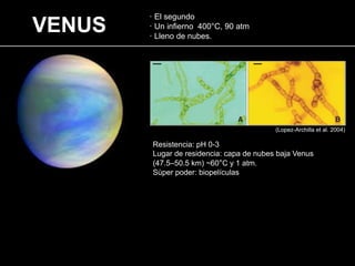 VENUS
· El segundo
· Un infierno 400°C, 90 atm
· Lleno de nubes.
(Lopez-Archilla et al. 2004)
Resistencia: pH 0-3
Lugar de residencia: capa de nubes baja Venus
(47.5–50.5 km) ~60°C y 1 atm.
Sùper poder: biopelículas
 