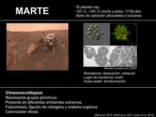 MARTE
· El planeta rojo.
· -63 ◦C, -145 ◦C noche y polos, 1/100 atm.
· Baño de radiación ultravioleta e ionizante.
Chroococcidiopsis
Representa grupos primitivos.
Presente en diferentes ambientes extremos.
Fotosíntesis, fijación de nitrógeno y materia orgánica
Colonizador oficial.
Resistencia: desecación, radiación
Lugar de residencia: suelo
Sùper poder: terraformación
(Montero-Lobato et al. 2020)
(Billi et al. 2013, Smith et al. 2017, Cottin et al. 2019)
 