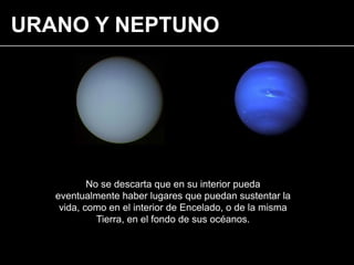 URANO Y NEPTUNO
No se descarta que en su interior pueda
eventualmente haber lugares que puedan sustentar la
vida, como en el interior de Encelado, o de la misma
Tierra, en el fondo de sus océanos.
 
