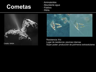 Cometas
· Aminoàcidos
· Abundante agua
· Fósforo
· PAHs
Resistencia: frío
Lugar de residencia: piscinas internas
Sùper poder: producción de polímeros extracelulares
Crédito: NASA
 