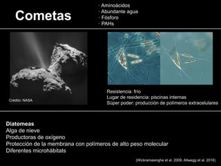 Diatomeas
Alga de nieve
Productoras de oxígeno
Protección de la membrana con polímeros de alto peso molecular
Diferentes microhàbitats
Cometas
· Aminoàcidos
· Abundante agua
· Fósforo
· PAHs
Resistencia: frío
Lugar de residencia: piscinas internas
Sùper poder: producción de polímeros extracelulares
Crédito: NASA
(Wickramasinghe et al. 2009, Altwegg et al. 2016)
 