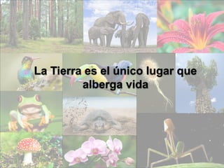 La Tierra es el único lugar que
alberga vida
 