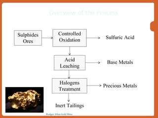 Oxidizing Gold Nichromet Extraction Gold Technology | Rodger Allen Gold Mine | PPT