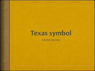 Texas symbol JULIAN AND NIC 