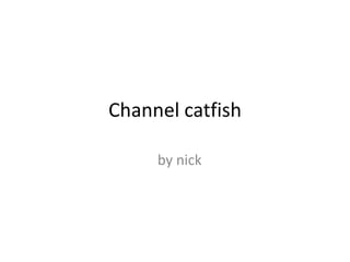 Channel catfish

     by nick
 