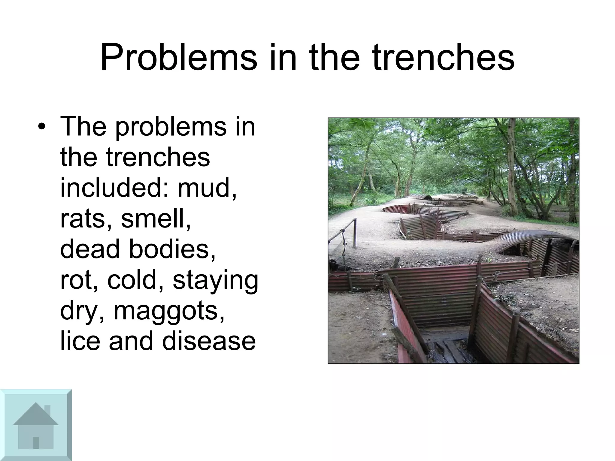 Problems in the trenches The problems in the trenches included: mud, rats, smell, dead bodies, rot, cold, staying dry, maggots, lice and disease 