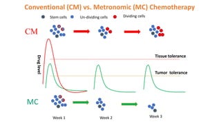 Metronomic Rms Nick chen ppt presentation metronomic chemotherapy 2015 | PPTX | Cancer ...