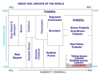 TEMPERATURE
HUMIDITY / RAINFALL
TUNDRA
Gray
Desert
and Sierozem
Brown
Chestnut
Degraded
Chernozem
Brunizem
PODZOL
Brown Podzolic
Gray-Brown Podzolic
Red Desert
Redd
ish
Bro
wn
Reddish
Chestnut Reddish
Prairie
Red-Yellow Podzolic
LATERITE
Reddish brown Latosolic
Yellowish brown Latosolic
TUNDRA
PODZOL
Red
Desert
Degraded
Chermozem
Brunizem
Brown Podzolic
Gray-Brown
Podzolic
Reddish
Prairie
Red-Yellow
Podzolic
Yellow-brown
Latsolic
Reddish-brown
Latsolic
LATERITE
Gray
Desert
&
Sierozem
Brown
Chestnut
Chemozem
Reddish
Brown
Reddish
Chestnut
Dry
Dry
Wet
Wet
Cold Cold
Hot Hot
GREAT SOIL GROUPS OF THE WORLD
 