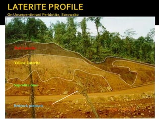 Red Laterite
Yellow Laterite
Saprolite zone
Bedrock pinnacle
 