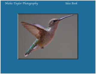 Nickie Taylor Photography Idea Book
 