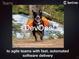 10
image credit: http://www.notey.com/@coolshitibuy/external/10054533/
ruffwear-approach-dog-backpack.html
to agile teams with fast, automated
software delivery
DevOps!
Teams
 