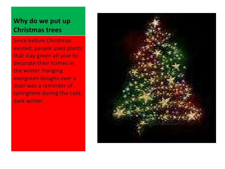 christmas history and traditions why do we put up christmas trees