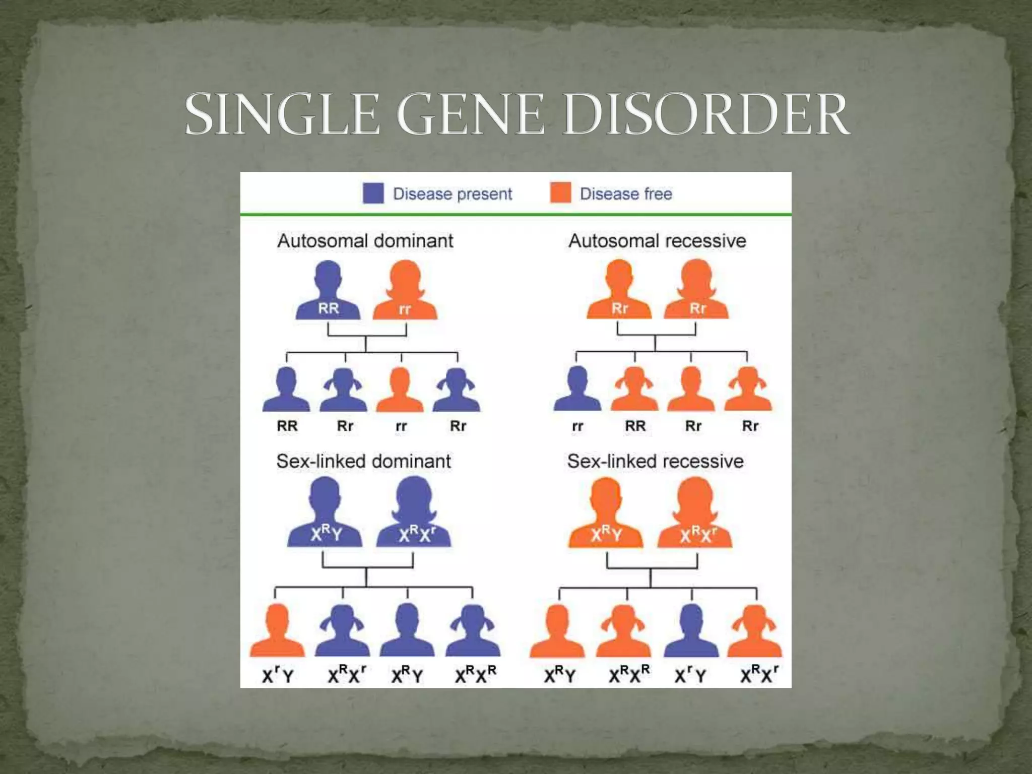 Genetic DisordersA genetic disorder is an illness caused by abnormalities in genes or chromosomes. While some diseases, such as cancer, can be caused partly by genetic disorders, they can also be caused by environmental factors. The disorders may be influenced by several factors. When a disease runs in a family, faulty genes are passed from parent to child. Or a change in the genetic material, a mutation, may occur during formation of an egg or sperm cell. Mutations may also appear during fetal development. Disorders occur where there is a problem with an individual's DNA.SINGLE GENE DISORDERSA single gene disorder is the result of a single mutated gene.  They can be traced through families and their occurrence in later generations can be predicted. The defective version of the gene responsible for the disease is known as a mutant allele or a disease allele. Single gene disorders can be divided into a number of different categories according to how they are transmitted from generation to generation. Some are described as dominant diseases because only one mutant allele is required, and such diseases tend to crop up in every generation. Other diseases are described as recessive because both copies of the gene must be defective in order for the disease to occur. These recessive diseases often skip generations because mutant alleles can be carried without any effect if a normal allele is also present. Many single gene disorders affect both sexes equally. However, where the relevant gene is present on the X-chromosome, the associated disease tends to be more common in males.Examples - sickle cell anemia and cystic fibrosis