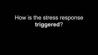 How is the stress response
triggered?
 