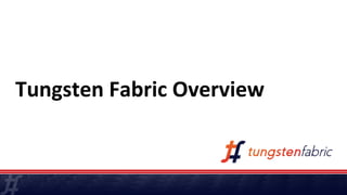 Tungsten Fabric Overview
 