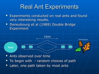 CSE ECE Swarm Intelligence Ant Colony Optimization | PPT