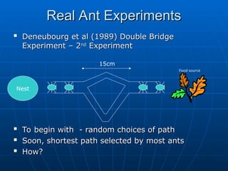 CSE ECE Swarm Intelligence Ant Colony Optimization | PPT