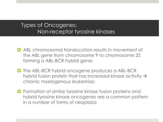 Types of Oncogenes:
       Non-receptor tyrosine kinases


 ABL chromosomal translocation results in movement of
  the ABL gene from chromosome 9 to chromosome 22
  forming a ABL-BCR hybrid gene;

 The ABL-BCR hybrid oncogene produces a ABL-BCR
  hybrid fusion protein that has increased kinase activity 
  chronic myelogenous leukemias;

 Formation of similar tyrosine kinase fusion proteins and
  hybrid tyrosine kinase oncogenes are a common pattern
  in a number of forms of neoplasia
 