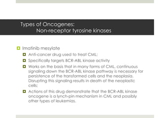 Types of Oncogenes:
       Non-receptor tyrosine kinases


 Imatinib mesylate
   Anti-cancer drug used to treat CML;
   Specifically targets BCR-ABL kinase activity
   Works on the basis that in many forms of CML, continuous
    signaling down the BCR-ABL kinase pathway is necessary for
    persistence of the transformed cells and the neoplasia.
    Disrupting this signaling results in death of the neoplastic
    cells;
   Actions of this drug demonstrate that the BCR-ABL kinase
    oncogene is a lynch-pin mechanism in CML and possibly
    other types of leukemias.
 