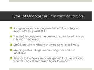 Types of Oncogenes: Transcription factors.


 A large number of oncogenes fall into this category
  (MYC, JUN, FOS, MYB, REL);

 The MYC oncogene is the one most commonly involved
  in human neoplasias;

 MYC is present in virtually every eukaryotic cell type;

 MYC regulates a huge number of genes and cell
  functions;

 Belongs to the “early response genes” that are induced
  when resting cells receive a signal to divide;
 