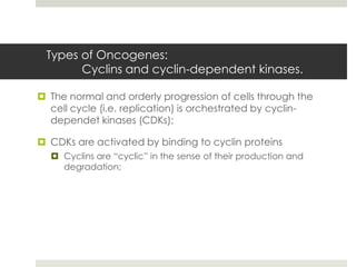 Types of Oncogenes:
       Cyclins and cyclin-dependent kinases.

 The normal and orderly progression of cells through the
  cell cycle (i.e. replication) is orchestrated by cyclin-
  dependet kinases (CDKs);

 CDKs are activated by binding to cyclin proteins
   Cyclins are “cyclic” in the sense of their production and
    degradation;
 