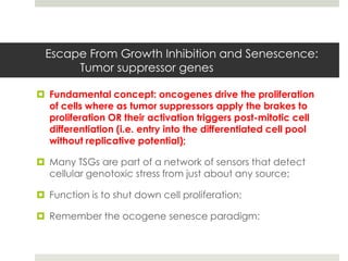 Escape From Growth Inhibition and Senescence:
       Tumor suppressor genes

 Fundamental concept: oncogenes drive the proliferation
  of cells where as tumor suppressors apply the brakes to
  proliferation OR their activation triggers post-mitotic cell
  differentiation (i.e. entry into the differentiated cell pool
  without replicative potential);

 Many TSGs are part of a network of sensors that detect
  cellular genotoxic stress from just about any source;

 Function is to shut down cell proliferation;

 Remember the ocogene senesce paradigm:
 