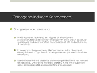 Oncogene-Induced Senescence


 Oncogene-induced senescence:


   in wild-type cells, activated RAS triggers an initial wave of
    proliferation, followed by an irreversible growth arrest known as cellular
    senescence and a concomitant accumulation of p53 and p16 proteins
     apoptosis;

   In melanoma, the presence of BRAF oncogenes in the absence of
    dysregulation of p53/p16 results in benign melanocytic nevi rather than
    melanoma;

   Demonstrates that the presence of an oncogene by itself is not sufficient
    for neoplasia. Other gene mutations (notably in the tumor suppressor
    genes p53 and/or p16) are required for carcinogenesis;
 