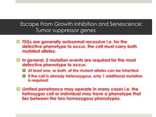Escape From Growth Inhibition and Senescence:
      Tumor suppressor genes

 TSGs are generally autosomal recessive i.e. for the
  defective phenotype to occur, the cell must carry both
  mutated alleles;

 In general, 2 mutation events are required for the most
  defective phenotype to occur;
   At least one, or both, of the mutant alleles can be inherited
   If the cell is already heterozygous, only 1 additional mutation
    is required;

 Limited penetrance may operate in many cases i.e. the
  hetrozygos cell or individual may have a phenotype that
  lies between the two homozygous phenotypes.
 