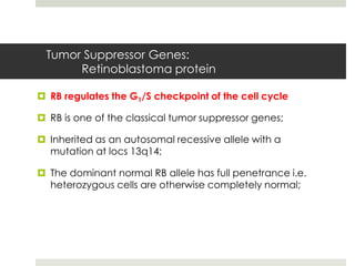 Tumor Suppressor Genes:
      Retinoblastoma protein

 RB regulates the G1/S checkpoint of the cell cycle

 RB is one of the classical tumor suppressor genes;

 Inherited as an autosomal recessive allele with a
  mutation at locs 13q14;

 The dominant normal RB allele has full penetrance i.e.
  heterozygous cells are otherwise completely normal;
 