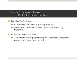 Tumor Suppressor Genes:
      Retinoblastoma protein

 Familial Retinoblastoma:
   Once defective allele is typically inherited;
   The second defective allele is typically acquired by
    mutation;

 Random retinoblastoma:
   2 mutations are required because 2 normal RB alleles are
    present (one from each parent);
 