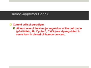 Tumor Suppressor Genes:


 Current critical paradigm:
   At least one of the 4 major regulators of the cell cycle
    (p16/INK4a, RB, Cyclin D, CYKA) are dysregulated in
    some form in almost all human cancers,
 