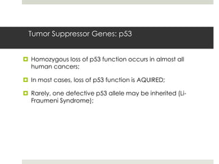 Tumor Suppressor Genes: p53


 Homozygous loss of p53 function occurs in almost all
  human cancers;

 In most cases, loss of p53 function is AQUIRED;

 Rarely, one defective p53 allele may be inherited (Li-
  Fraumeni Syndrome);
 