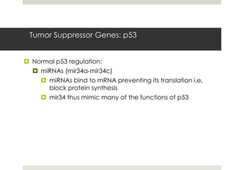 Tumor Suppressor Genes: p53


 Normal p53 regulation:
   miRNAs (mir34a-mir34c)
     miRNAs bind to mRNA preventing its translation i.e.
      block protein synthesis
     mir34 thus mimic many of the functions of p53
 