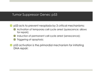 Tumor Suppressor Genes: p53


 p53 acts to prevent neoplasia by 3 critical mechanisms:
   Activation of temporary cell cycle arrest (quiescence; allows
    for repair);
   Induction of permanent cell cycle arrest (senescence);
   Triggering of apoptosis;

 p53 activation is the primordial mechanism for initiating
  DNA repair;
 