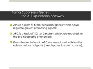 Tumor Suppressor Genes:
      the APC/β-catenin pathway

 APC is a class of tumor supresssor genes which down-
  regulate growth promoting signals;

 APC is a typical TSG i.e. 2 mutant alleles are required for
  the pro-neoplastic phenotype;

 Germ-line mutations in APC are associated with familial
  adenomatous polyposis (pre-disposes to colon cancer);
 