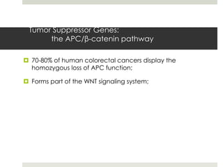 Tumor Suppressor Genes:
      the APC/β-catenin pathway

 70-80% of human colorectal cancers display the
  homozygous loss of APC function;

 Forms part of the WNT signaling system;
 