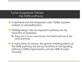 Tumor Suppressor Genes:
      the TGFβ pathway.

 In epithelial and hematopoeitic cells, TGFβis a potent
  inhibitor of cell proliferation;

 TGFβsignaling is also an important pathway for the
  induction of apoptosis;
   There are 2 known mechanisms: the SMAD pathway & the
    DAXX pathway;

 In many forms of cancer, the growth-inhibiting effects of
  the TGFβ pathway are lost by mutations in the signaling
  pathway (100% of pancreatic cancers, 83% of colon
  cancers).
 